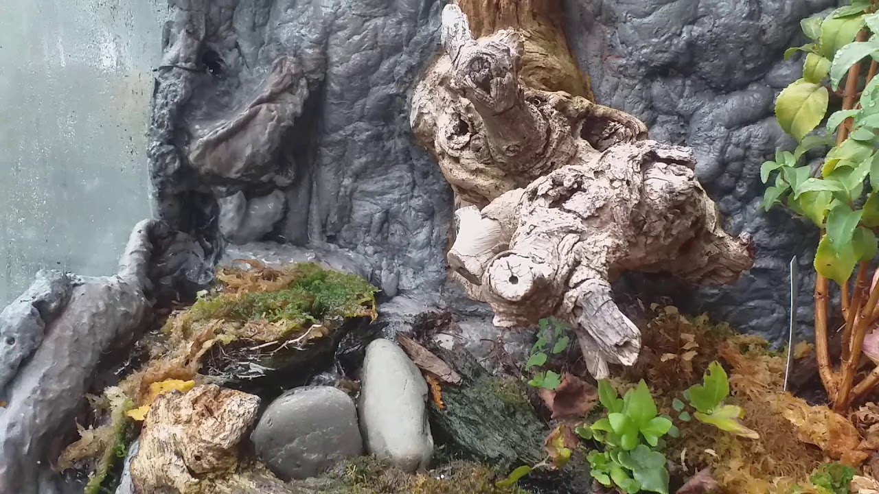 Terrarium 60cm x 45cm x45cm