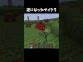 何が起きてるの？ #マイクラ #マインクラフト #shorts