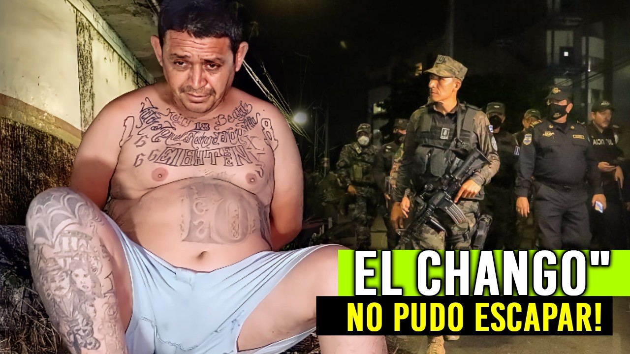 🔥 “Lo Despertaron Preso: Así Cayó Alias ‘El Chango’ de la MS-13”