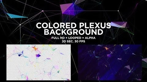 Colored Plexus Background | Motion Graphics - Videohive template