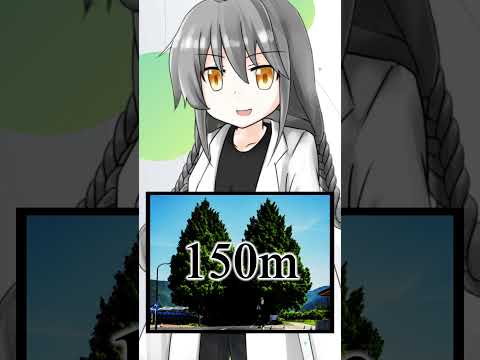 急速に植えられている街路樹【ショート虚言】 #shorts #vtuber