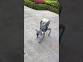 Cyberpunk Streets of China: Robot EV Walks the Dog—No Hands Needed 🤖🐕