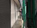 言葉が汚くてすいません。。びっくりしたもんで、、、｜ 横浜市戸塚区の外壁塗装会社ホームライフ #リフォーム #外壁塗装 #shorts #高圧洗浄