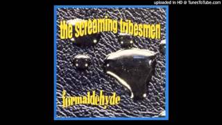 Video thumbnail of "The Screaming Tribesmen - Formaldehyde - 01 - Painted Memory"