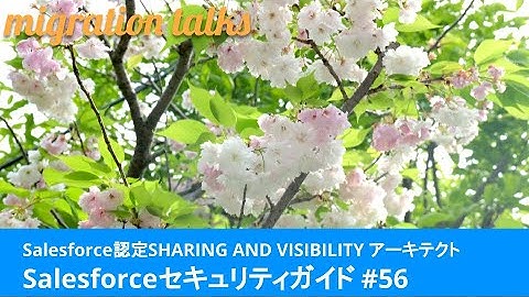 Salesforceセキュリティガイド #56