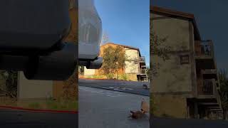 27Won Frontpipe Back Exhaust On 11Th Gen. Civic Si - Cold Start And Light Rev To 3K