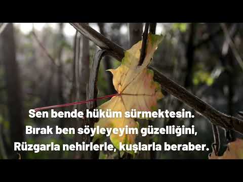 Şiir Karaoke Desem ki Cahit Sıtkı Tarancı #aşk #sevgi #şiir #hasret #özlem