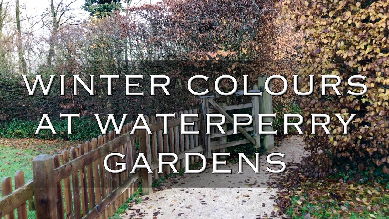 Winter Colours at Waterperry Gardens. 4K Video taken on a the last day of November 2019