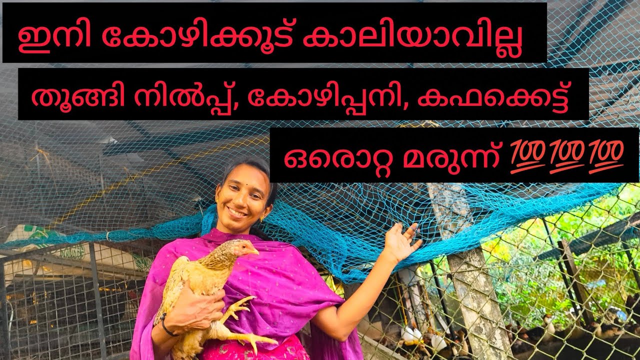 ഇനി പേടിക്കേണ്ട കോഴിപനി... ഈ ഒരൊറ്റ പച്ചമരുന്ന് മതി # പരീക്ഷിച്ചു വിജയിച്ച ഒറ്റമൂലി 😊# 100% ഉറപ്പ് 