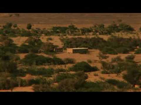 التكلفة البشرية للحرب في النيجر - 17 يوليو 2008