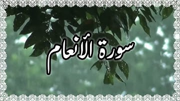 سورة الأنعام بصوت القارئ سعد الغامدي مع صوت المطر