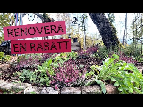 Video: Lökblommor För Trädgården (40 Foton): Namnen På Perenner. Höstplantering Av Växter I En Rabatt. Små-bulbous Fjäder Och Andra Arter