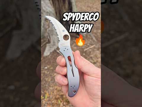 The Spyderco Harpy (courtesy of @rebeccapierce3590)