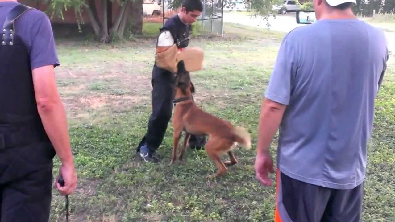 John's nephew takes bite from Rig