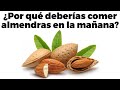 7 razones para comer almendras en ayunas todos los das