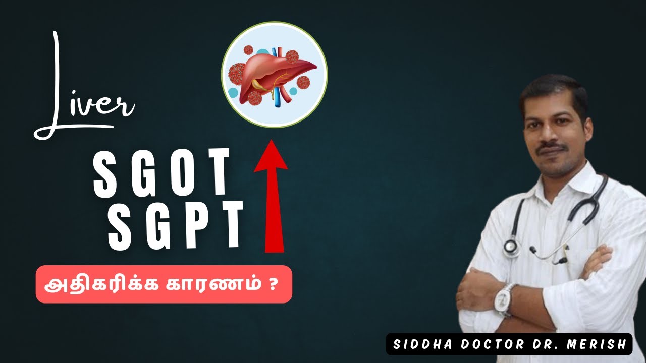 SGOT SGPT Increased ? in Tamil | Liver Health | Siddha Doctor ...