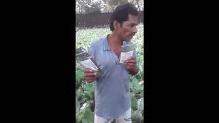 Customer Feedback On Root Buddy An Biovirat