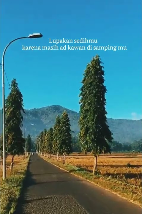 Story wa 30detik#$torywa#story wa