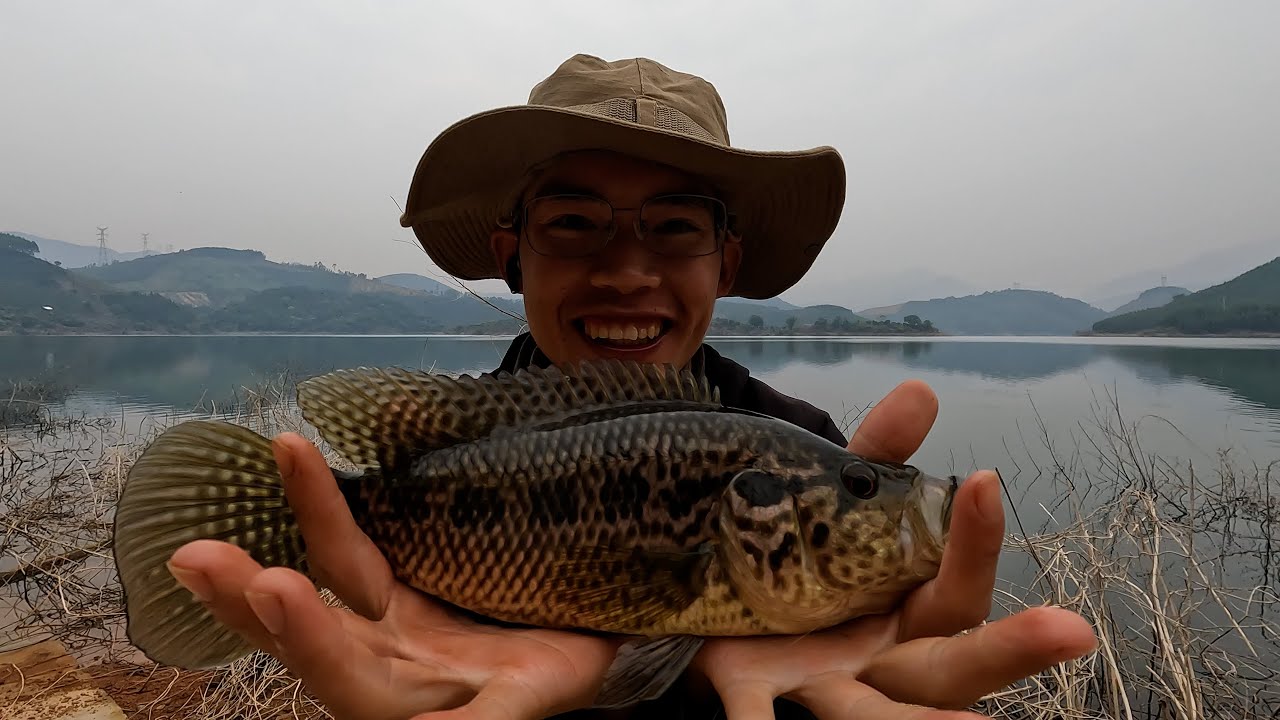 没能延续前天的鱼情，但是在离开之前能钓一条上斤的淡水石斑已经相当不错了