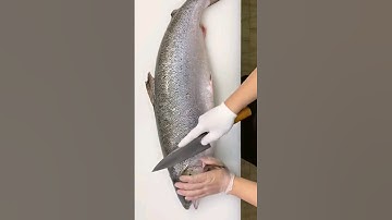 how to fillet a salmon