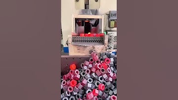 The "Nut Sorting Master" in the Factory!