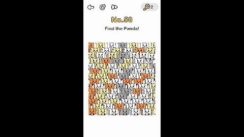 BRAIN OUT LEVEL 50 find the panda