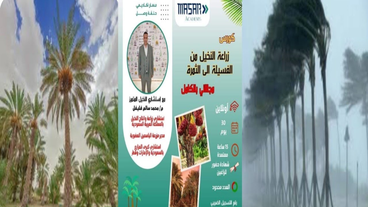 سلسلة زراعة وانتاج النخيل من الفسيلة الي الثمرة (المحاضرة الثانية )