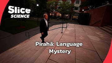 Pirahã: The Tribe That Defies Language Rules | SLICE SCIENCE