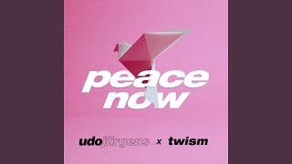 Peace Now (Twism Remix - Radio Version)