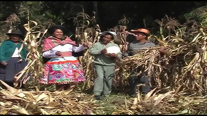 CAMPESINA DE VIQUES - HAYDEE VALENZUELA CANO Huerf...