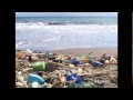 Dianna cohen  des vrits brutales sur la pollution par les plastiques