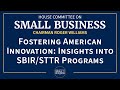 Fostering American Innovation: Insights into SBIR/STTR Programs