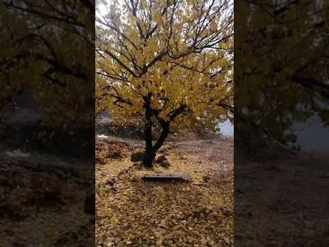 وێنەیێ سروشتێ کوردستانێ دروسکریێ خودێ