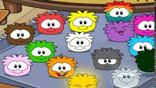 curta club penguin pirata cpps : flippr