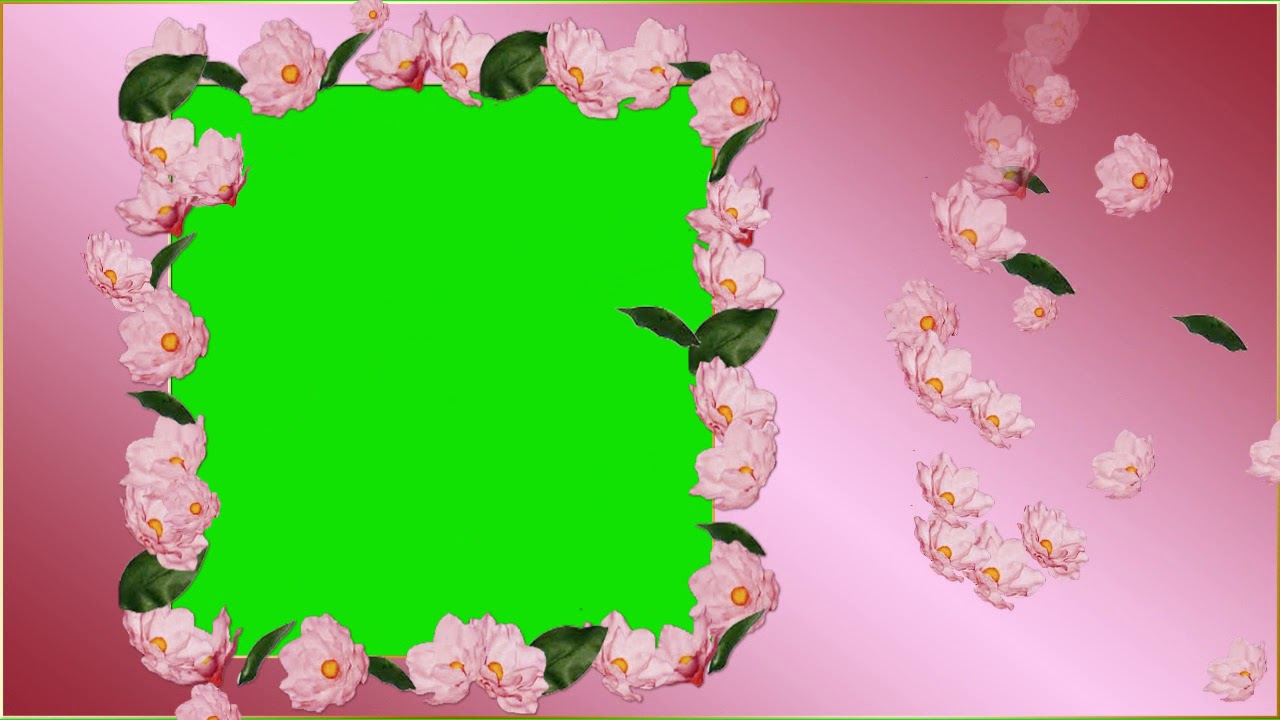 PICTURE FRAME OF ROSES GREEN SCREEN EFFECT - YouTube