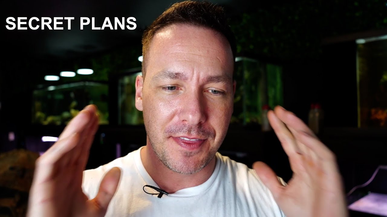 Building 21 fish tanks YouTube