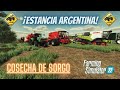 ✅🇦🇷 ESTANCIAS ARGENTINAS Cosecha de Sorgo.. tremendo cambio hicimos. nos unimos a una sola Granja.