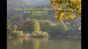 Borodin : String Quartet No. 2 in D major  - I. Allegro moderato
