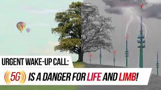 Can 5G radiation make you sick? What we found.