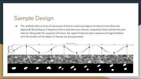 In Search of Life: Learning From Synthetic Data to Detect Vital Signs in Videos