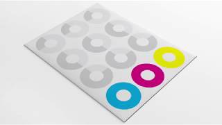 Plastribution Rebrand Case Study Wealth