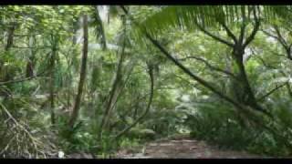 Olohega or Swains Island Part 2 of 3 Tagata Pasifika