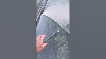 Pro Tip for Wire Hoops✨ #farming #shorts