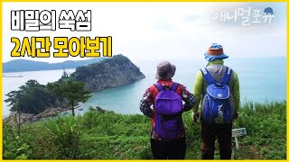 섬 꼭데기에 비밀 정원이 있다?! 주민 30여 명이 사는 쑥섬을 아시나요? | 그 섬엔 비밀 정원이 있다 | KBS 인간극장 2016 방송