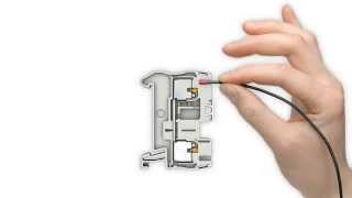 Push In technology from Phoenix Contact | RS Components