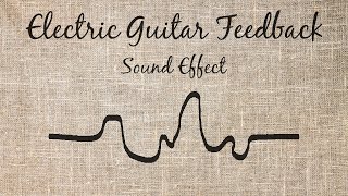 Electric Guitar Noises Sound Effect