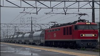 EF510-17号機[富]牽引　高速貨物列車