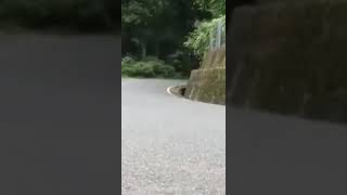 Telefon Evde Qalanda