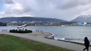 Vancouver Mermaid Snorkel Woman Stanley Park
