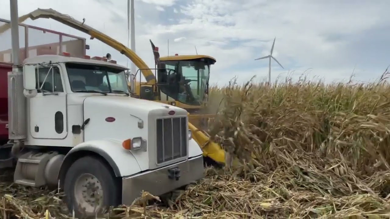 2006 NEW HOLLAND FX50 For Sale